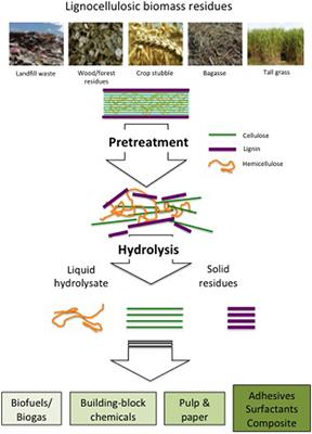 Lignocellulosic Biomass Transformations via Greener Oxidative Pretreatment Processes: Access to Energy and Value-Added Chemicals